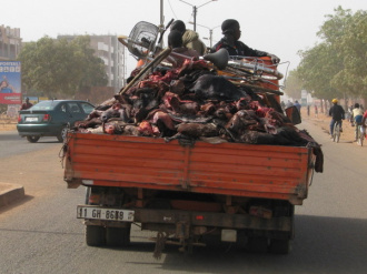 02 Peaux De Zebus En Partance Pour Le Ghana